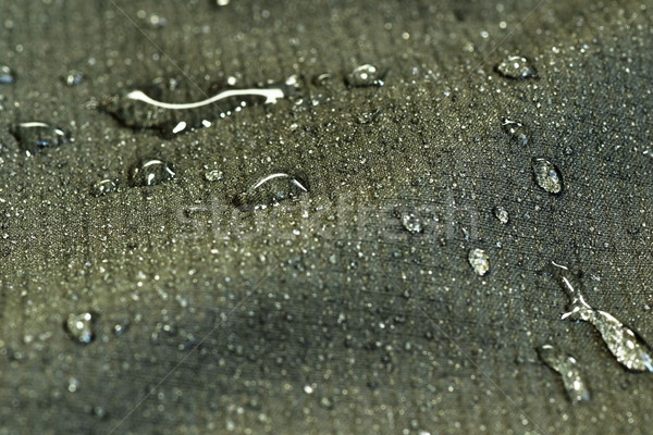 Wody kurtka materiału zielone brązowy deszcz Zdjęcia stock © taviphoto