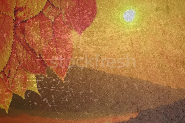 distressed autumn background Stock photo © taviphoto