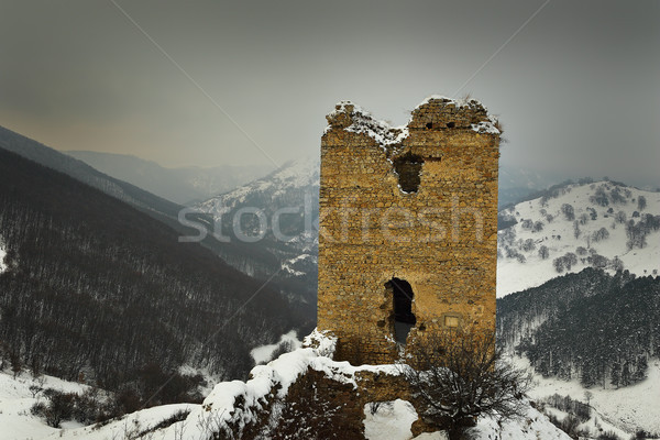 closeup of Coltesti fortress Stock photo © taviphoto