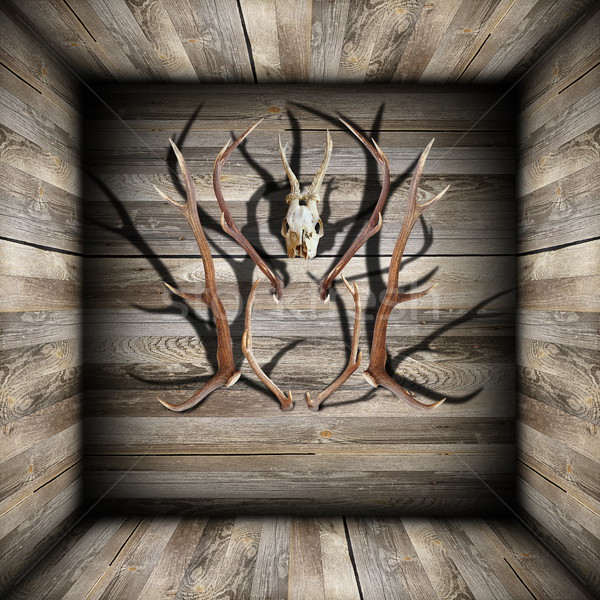 hunting trophies on wooden room Stock photo © taviphoto
