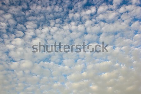 Interessant wirklich Himmel Wolken Licht Hintergrund Stock foto © taviphoto