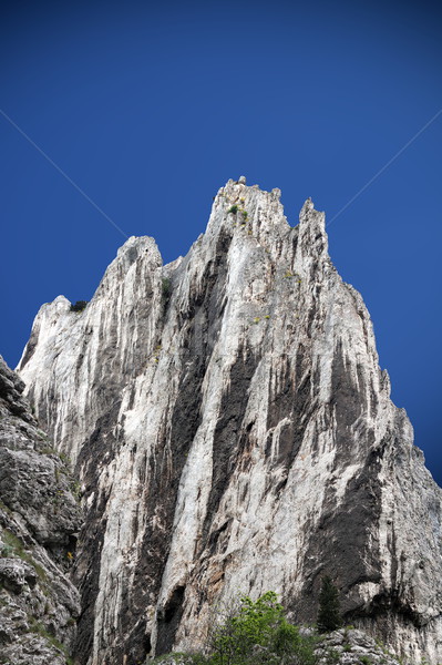Groß Kalkstein Klettern Wand natürlichen Sommer Stock foto © taviphoto