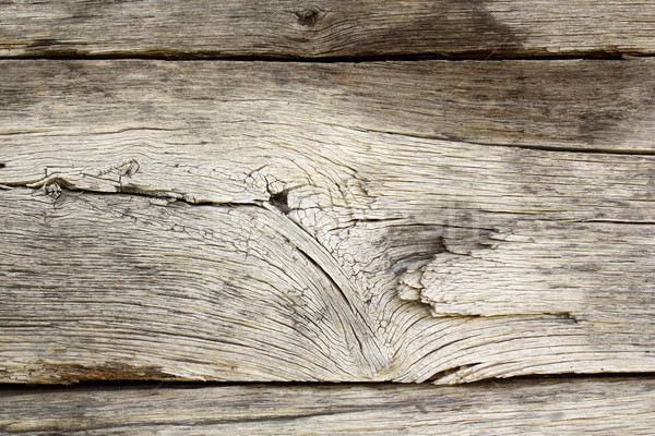 weathered real oak wood texture Stock photo © taviphoto