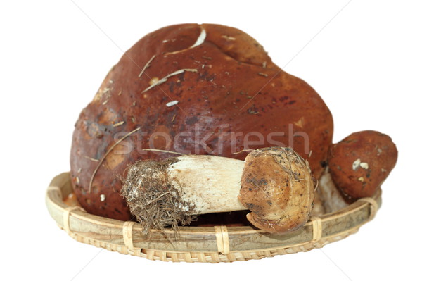 porcini mushrooms on wood basket Stock photo © taviphoto