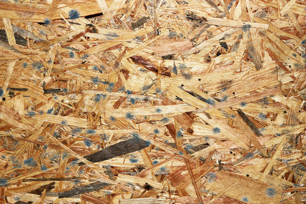 Détail infecté bois planche arbre Photo stock © taviphoto