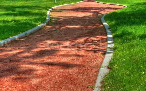 Steegje park mooie voorjaar gras landschap Stockfoto © taviphoto