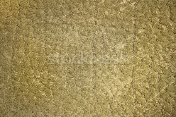 Geel leder oppervlak abstract textuur Stockfoto © taviphoto