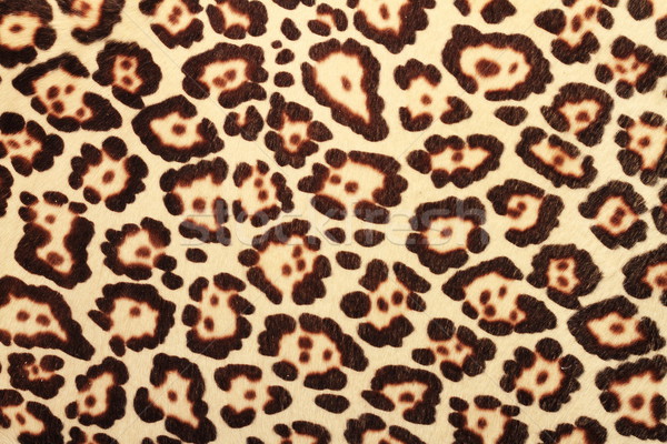 Padrão leopardo pele detalhado real textura Foto stock © taviphoto