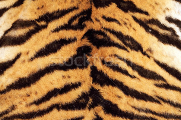 tiger beautiful texture of real fur Stock photo © taviphoto