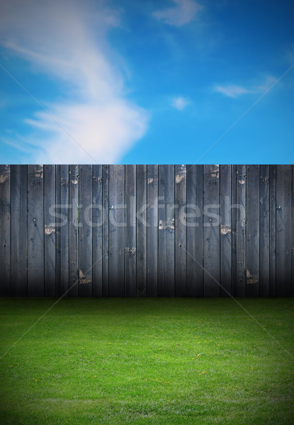 backyard with old wooden fence Stock photo © taviphoto