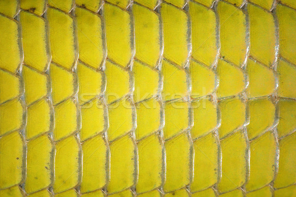 Stock photo: macro image of green lizard abdomen scales