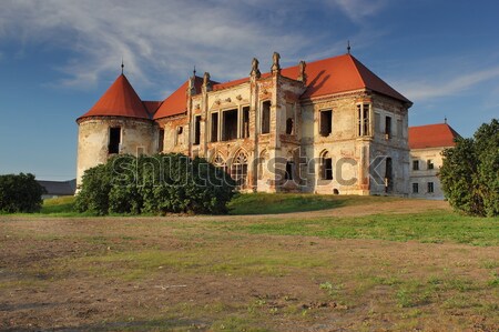 banffy castle at bontida Stock photo © taviphoto