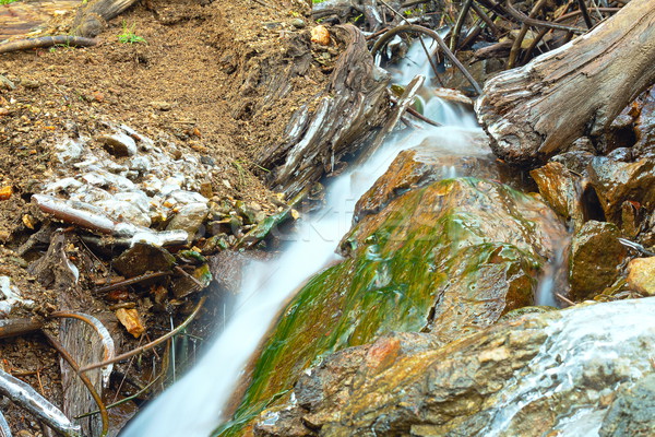 Montanha córrego pormenor pequeno cachoeira água Foto stock © taviphoto