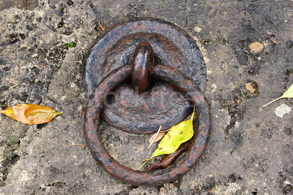 old metal ring on a stone Stock photo © taviphoto