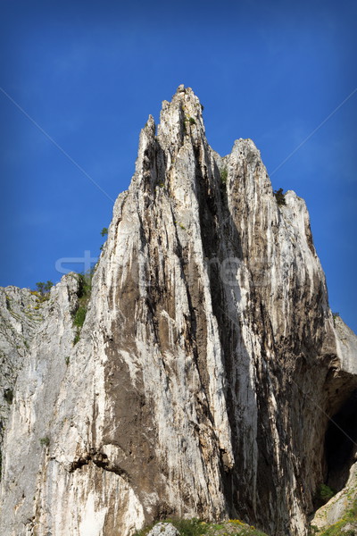 beautiful limestone wild ridge Stock photo © taviphoto