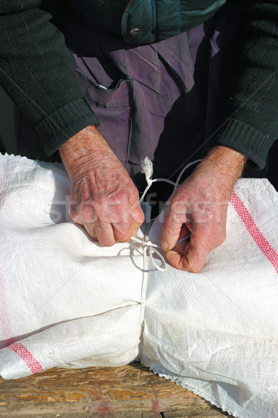 old man making a knot Stock photo © taviphoto