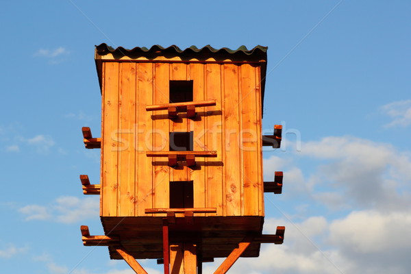 pigeon wooden house Stock photo © taviphoto