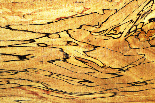 beautiful wood texture with black stripes Stock photo © taviphoto