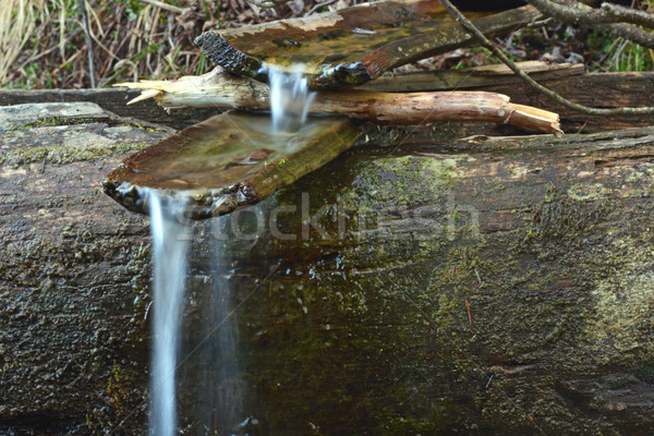 Wiosną kanał wody źródło trawy Zdjęcia stock © taviphoto