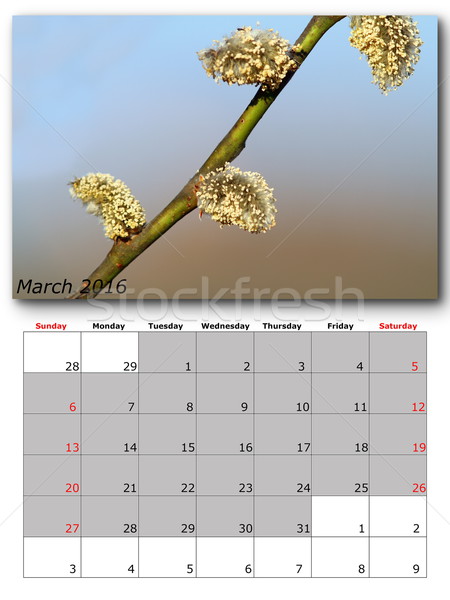 march nature calendar page layout Stock photo © taviphoto