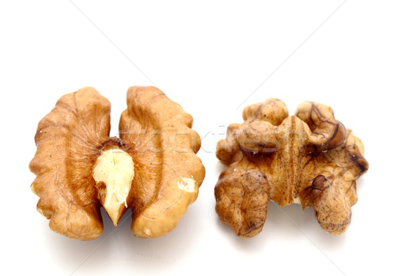 walnut kernel Stock photo © taviphoto