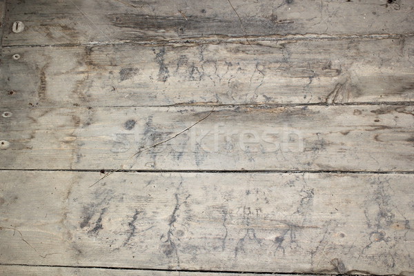 mycelium traces on basement floor Stock photo © taviphoto