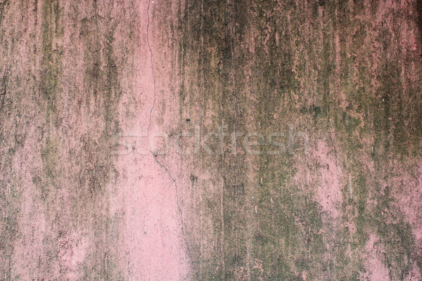 Yosun boyalı duvar eski dış doku Stok fotoğraf © taviphoto