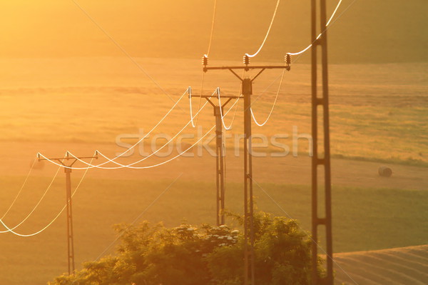 electric pillars at sunset Stock photo © taviphoto