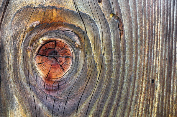 spruce knotted beautiful wood plank Stock photo © taviphoto
