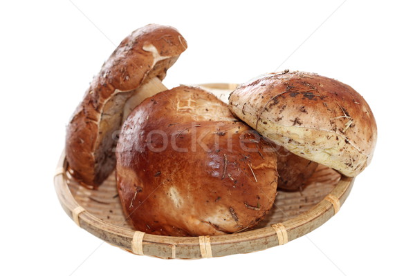 porcini mushrooms on wicker plate Stock photo © taviphoto