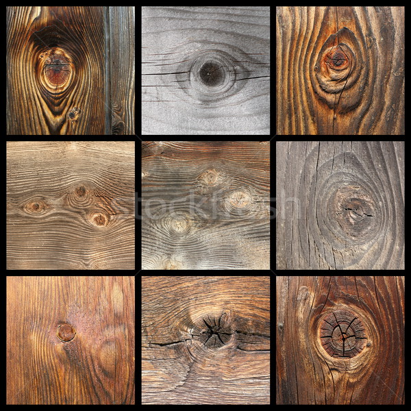 details of wood knots Stock photo © taviphoto