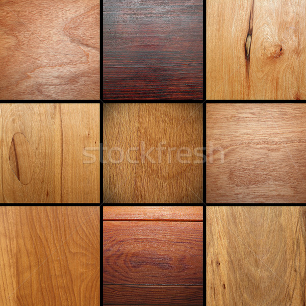 real wood veneer collage Stock photo © taviphoto
