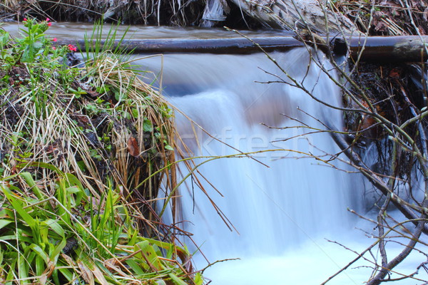 beautiful waterfall Stock photo © taviphoto