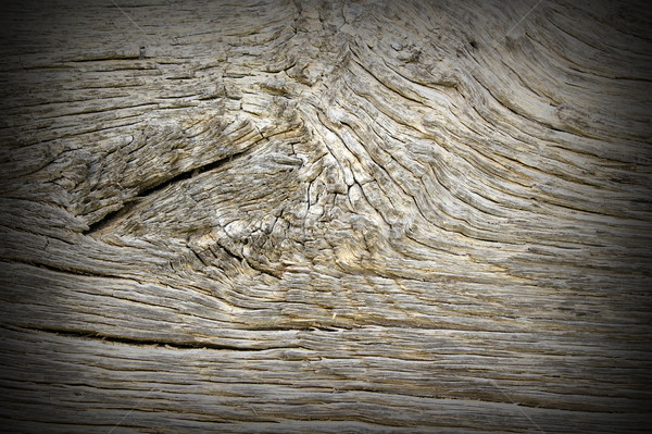 old oak wood surface Stock photo © taviphoto