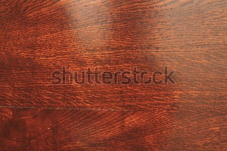 ancient rose veneer Stock photo © taviphoto