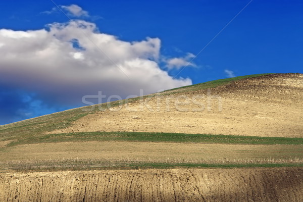 Gyönyörű vidéki táj domb kék ég égbolt tavasz Stock fotó © taviphoto