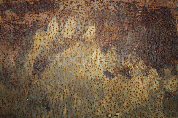 traces left by brown bear on rusty metal door Stock photo © taviphoto