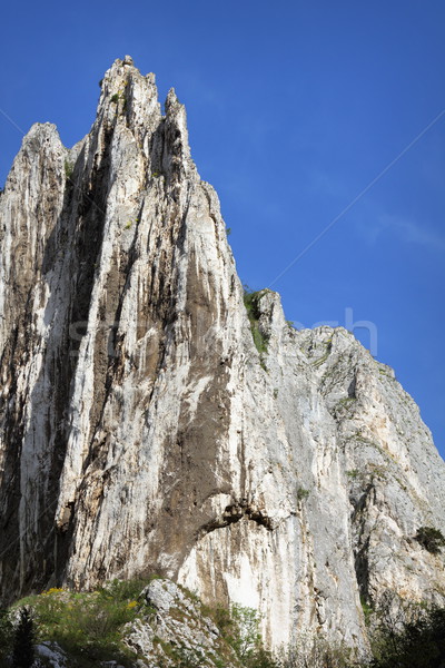 big limestone ridge Stock photo © taviphoto