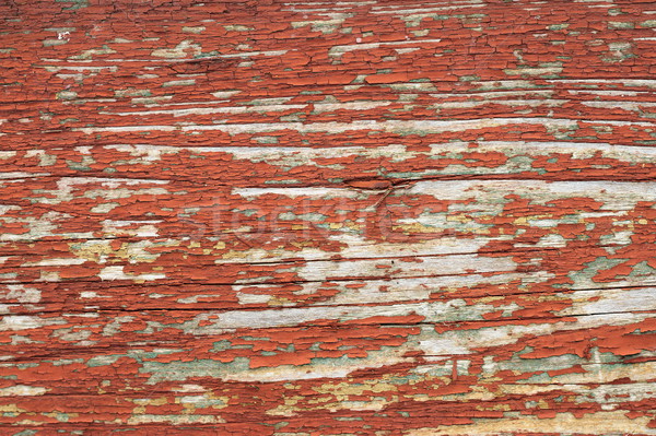  beige paint on wood surface Stock photo © taviphoto