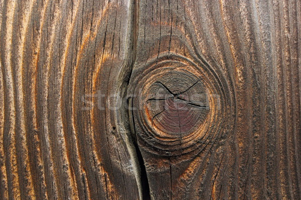 detail of wooden knot on fir plank Stock photo © taviphoto