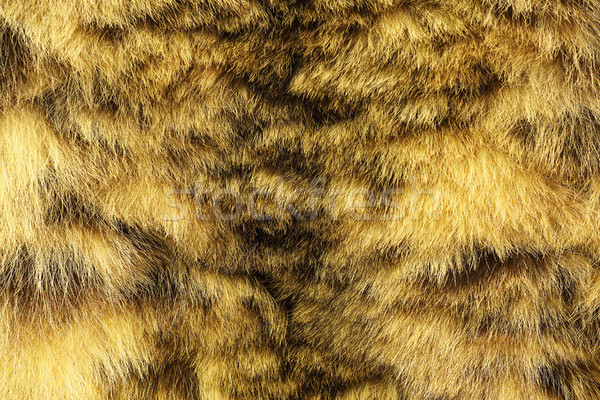 Foto stock: Colorido · textura · neve · leopardo · pele · animais · em · extinção