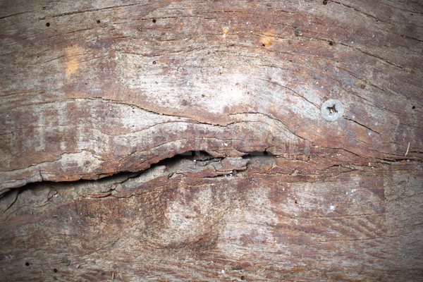 cracked wood texture Stock photo © taviphoto