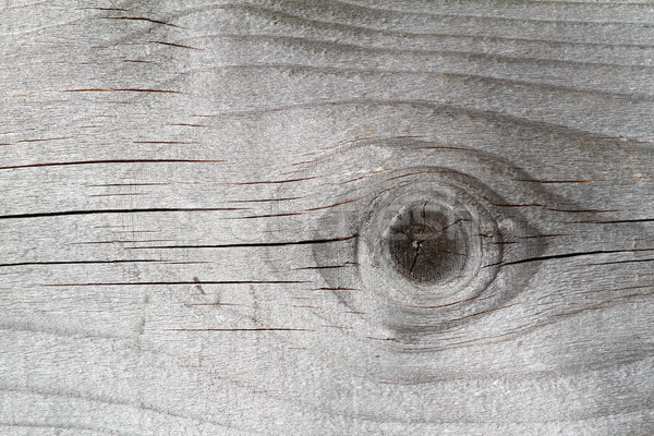 spruce plank texture Stock photo © taviphoto