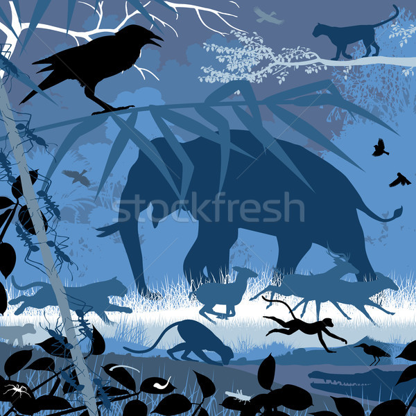 Asian wildlife in blue Stock photo © Tawng