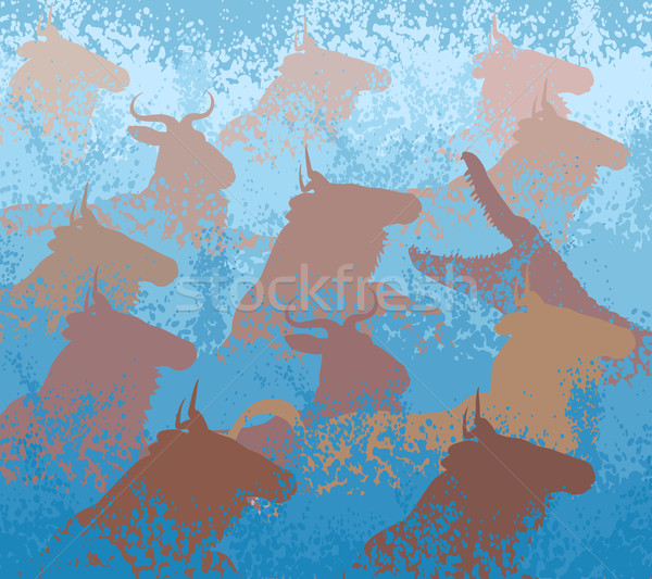 Wildebeest swimming river Stock photo © Tawng