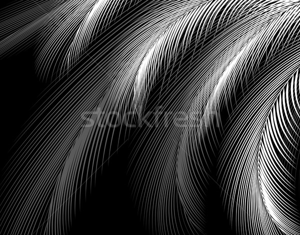 Silver fronds Stock photo © Tawng