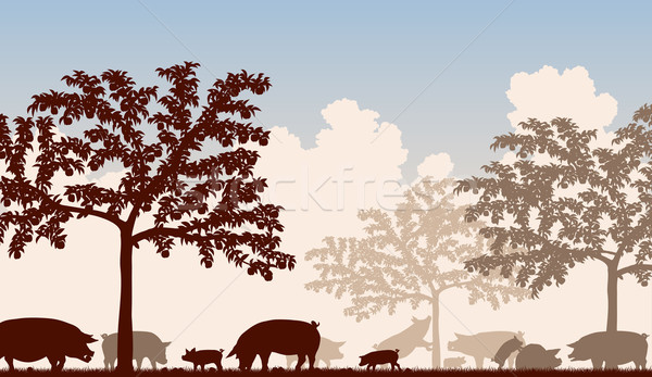 Orchard pigs Stock photo © Tawng