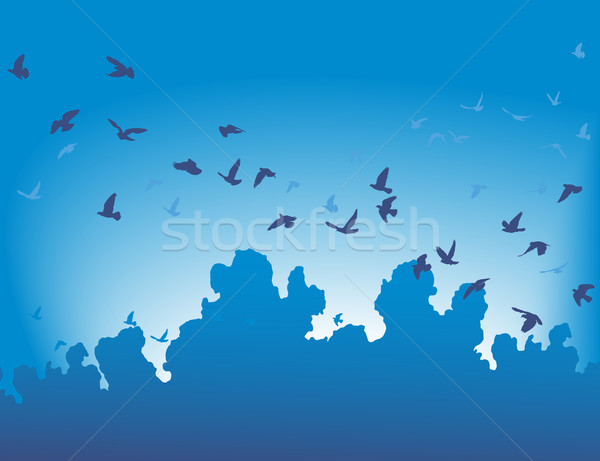Stock foto: Migration · Herde · unter · Vögel · Himmel · Vogel