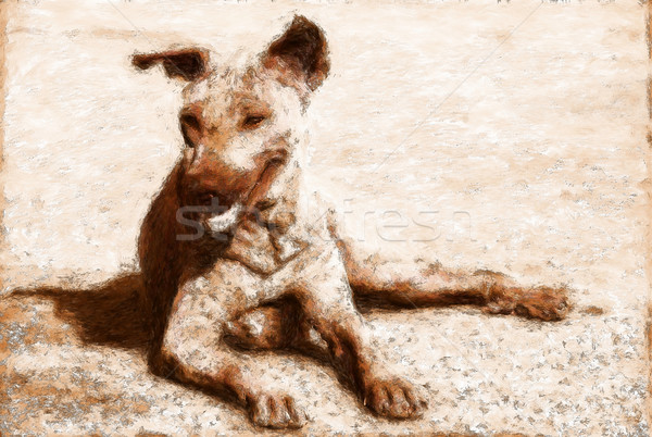 Perro marrón pintura marrón calle perro arte Foto stock © Tawng