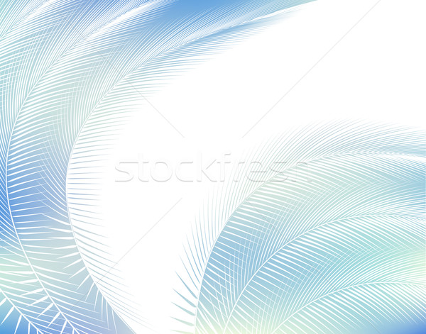 Feathered background Stock photo © Tawng